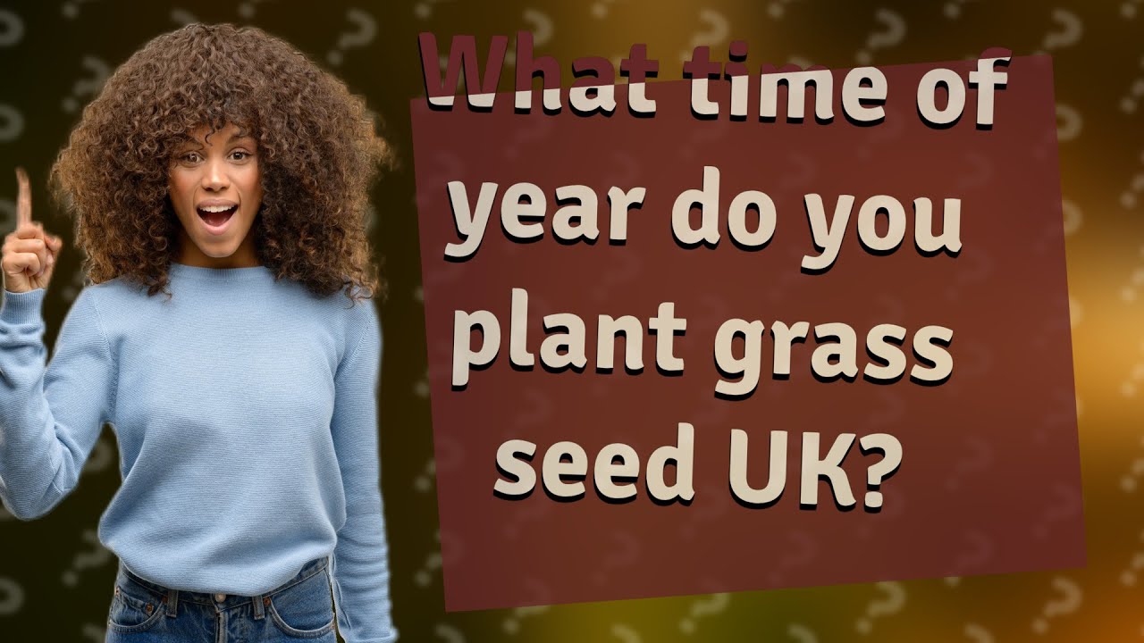 The Top Tips for Timing Your Grass Seed Planting in the UK