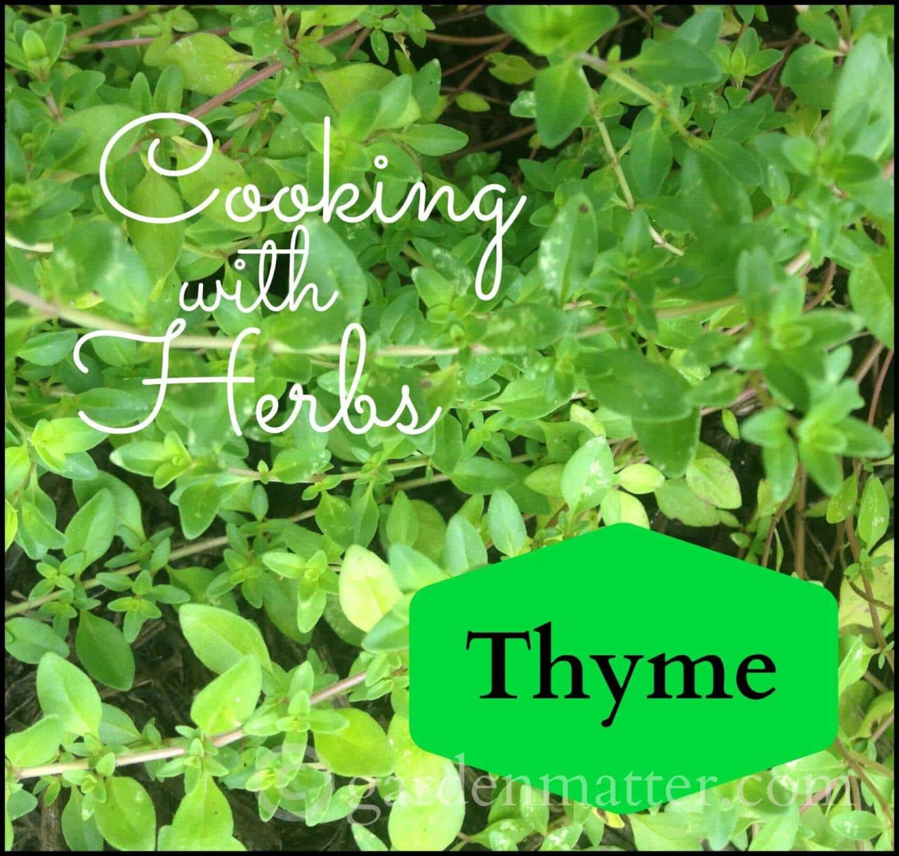 How to Incorporate Thyme Piece into Your Daily Cooking Routine